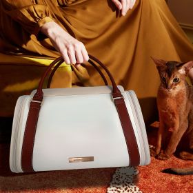 A Travel Tote Bag That Can Bring Pets