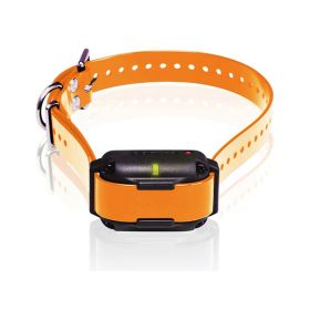 sDogtra Edge RT Trainer Extra Collar - Orange
