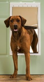PetSafe Plastic Dog Door - Extra Large - PPA00-10961