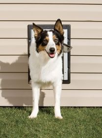 PetSafe Wall Entry Pet Door - Medium - ZPA00-16202