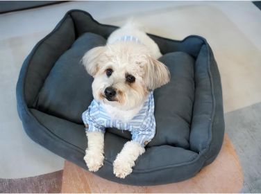 Super Soft Rectangular Cuddle Pet Bed With Non-Slip Fluffy Bottom (Option: Light gray)