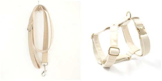 Dog collar traction rope (Option: Set-S)